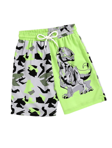 Dino Swim Shorts